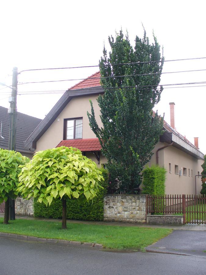 Arnika Vendégház Hajdúszoboszló Exterior foto